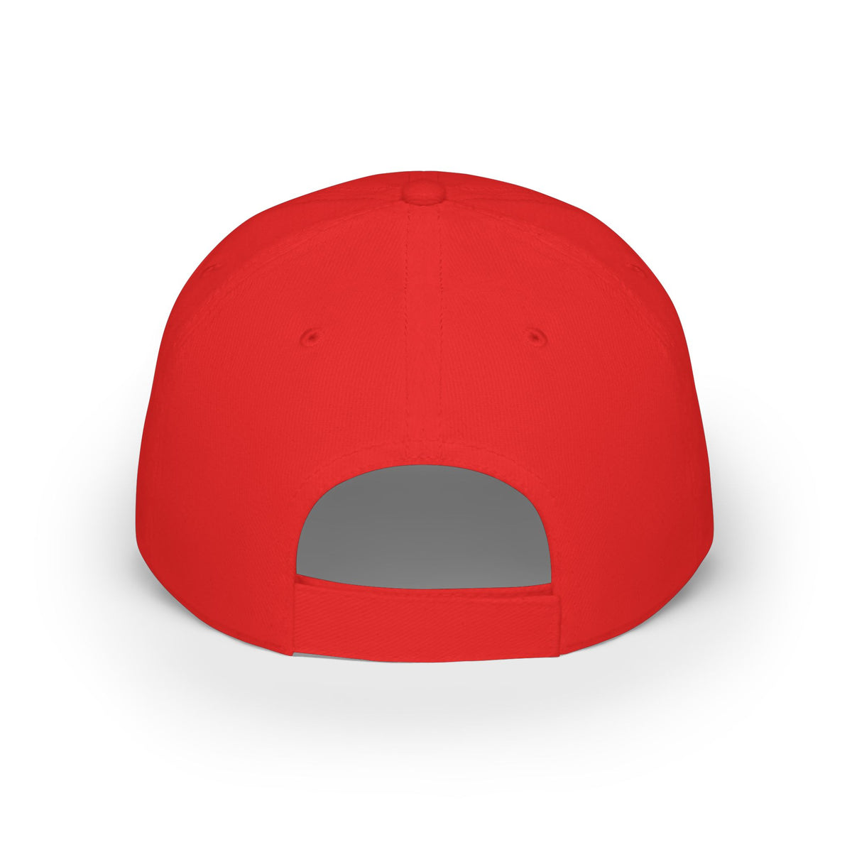 American Weightlifting Cap - 'Life Begins at the Bars' Low Profile Baseball Hat